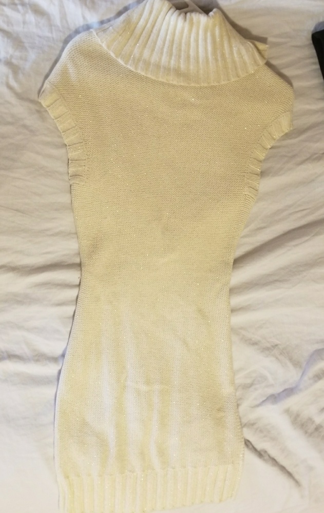 Express Sparkle Sweater Dress